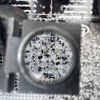 Close-up of snow crystals on a sampling card